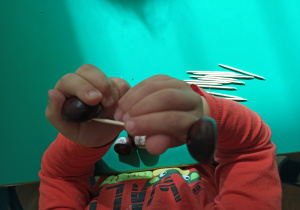Dziecko łączy za pomocą wykałaczki dwa kasztany